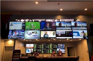 Satellite Sports Book